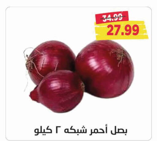  Onion  in Metro Market  in Egypt - Cairo