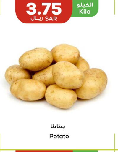  Potato  in Astra Markets in KSA, Saudi Arabia, Saudi - Tabuk