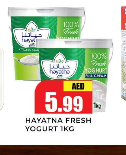HAYATNA Yoghurt  in Meena Al Madina Hypermarket  in UAE - Sharjah / Ajman