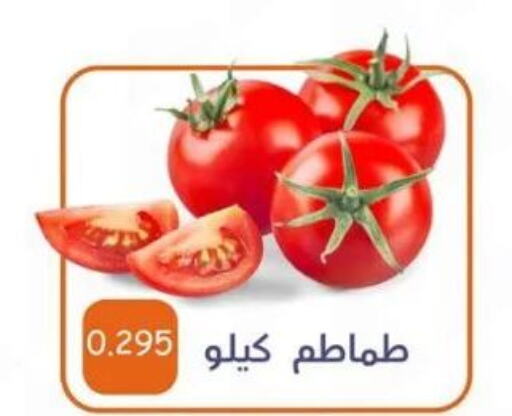  Tomato  in Al Ahmadi Cooperative Society in Kuwait - Ahmadi Governorate