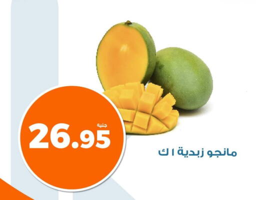 Mango Mango  in Kazyon  in Egypt - Cairo