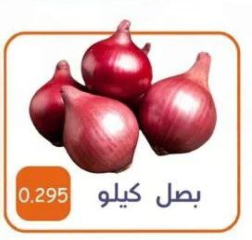  Onion  in جمعية الأحمدي التعاونية in الكويت - محافظة الأحمدي
