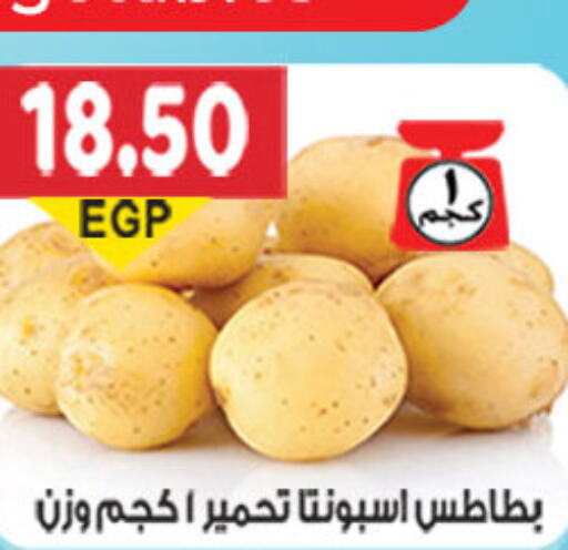  Potato  in El Gizawy Market   in Egypt - Cairo
