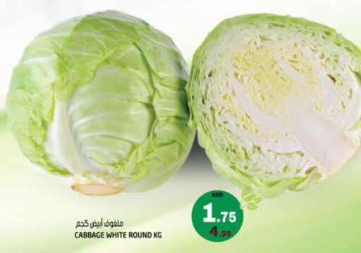  Cabbage  in هاشم هايبرماركت in الإمارات العربية المتحدة , الامارات - الشارقة / عجمان