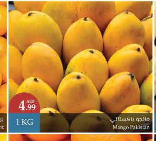  Mangoes  in تروليز سوبرماركت in الإمارات العربية المتحدة , الامارات - الشارقة / عجمان