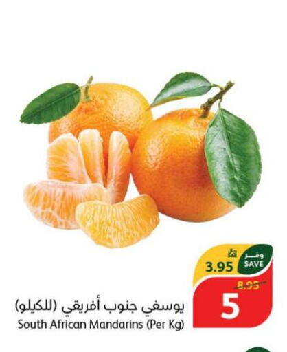  Orange  in Hyper Panda in KSA, Saudi Arabia, Saudi - Riyadh