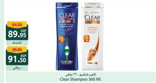 CLEAR Shampoo / Conditioner  in Spinneys  in Egypt - Cairo