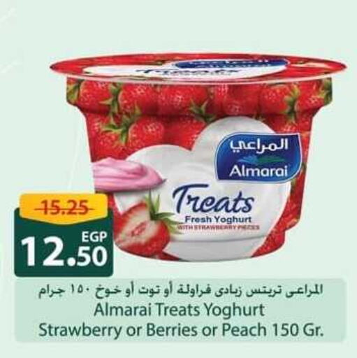 ALMARAI Yoghurt  in Spinneys  in Egypt - Cairo