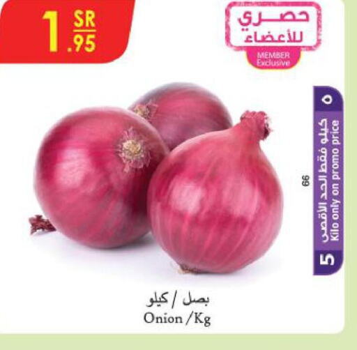  Onion  in Danube in KSA, Saudi Arabia, Saudi - Tabuk