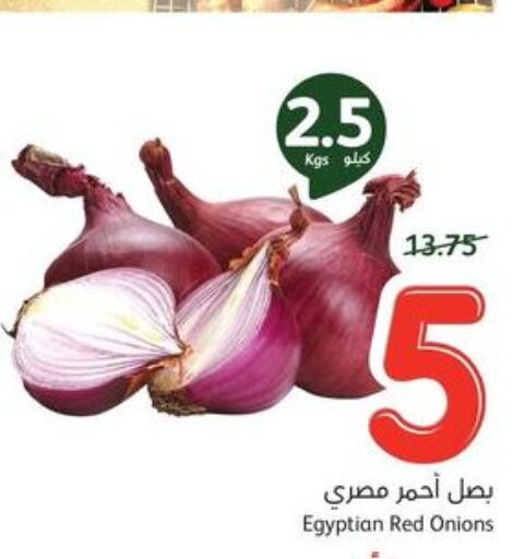  Onion  in Hyper Panda in KSA, Saudi Arabia, Saudi - Tabuk