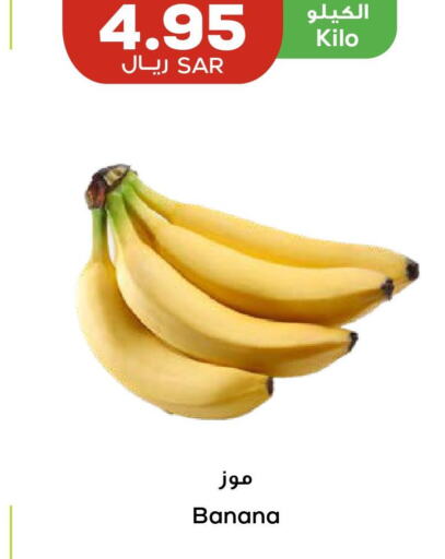  Banana  in أسواق أسترا in مملكة العربية السعودية, السعودية, سعودية - تبوك