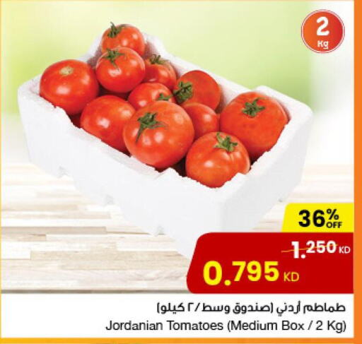  Tomato  in مركز سلطان in الكويت - محافظة الأحمدي