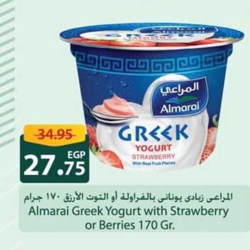 ALMARAI Greek Yoghurt  in سبينس in Egypt - القاهرة