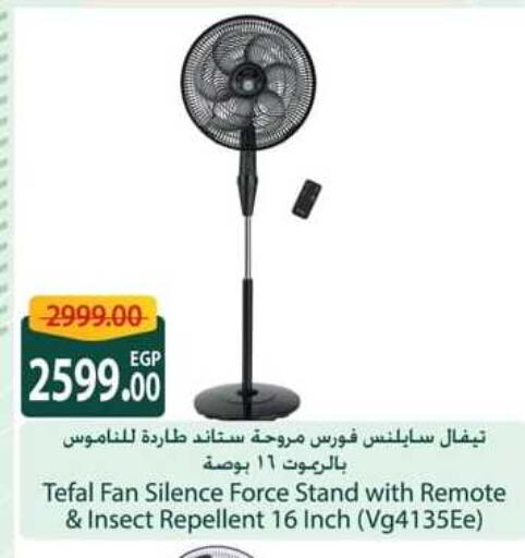 TEFAL Fan  in سبينس in Egypt - القاهرة