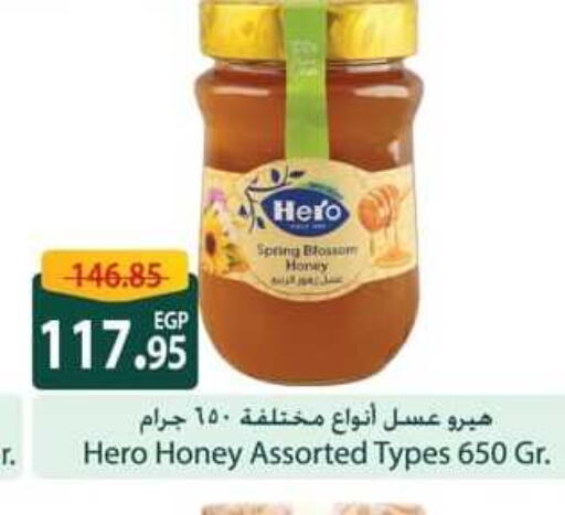 HERO Honey  in Spinneys  in Egypt - Cairo
