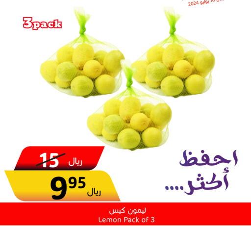  Zucchini  in العالم الاقتصادي in مملكة العربية السعودية, السعودية, سعودية - جدة
