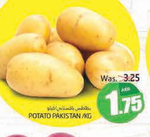  Potato  in مجموعة باسونس in الإمارات العربية المتحدة , الامارات - ٱلْعَيْن‎