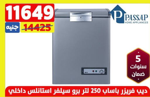 PASSAP Freezer  in Shaheen Center in Egypt - Cairo