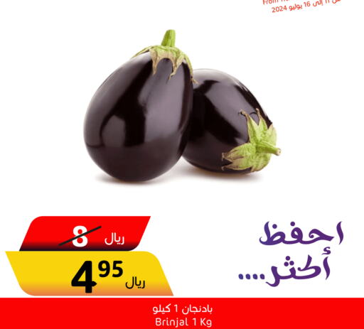  Potato  in Economic World in KSA, Saudi Arabia, Saudi - Jeddah