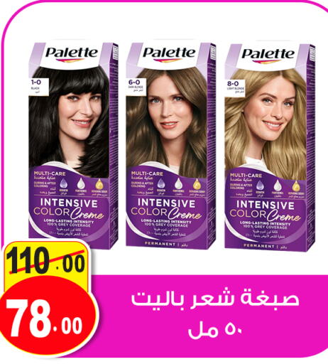 PALETTE Hair Colour  in غنيم ماركت in Egypt - القاهرة