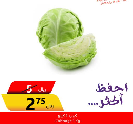  Cabbage  in Economic World in KSA, Saudi Arabia, Saudi - Jeddah