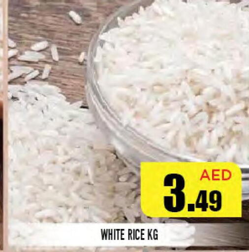  White Rice  in سنابل بني ياس in الإمارات العربية المتحدة , الامارات - أم القيوين‎