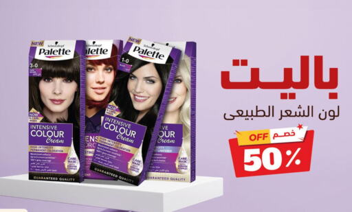 PALETTE Hair Cream  in United Pharmacies in KSA, Saudi Arabia, Saudi - Riyadh