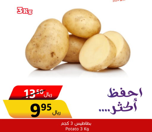 Potato  in العالم الاقتصادي in مملكة العربية السعودية, السعودية, سعودية - جدة