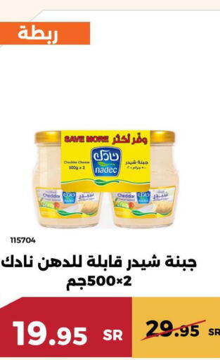 NADEC Cheddar Cheese  in حدائق الفرات in مملكة العربية السعودية, السعودية, سعودية - مكة المكرمة