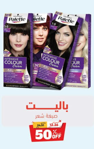 PALETTE Hair Colour  in United Pharmacies in KSA, Saudi Arabia, Saudi - Riyadh