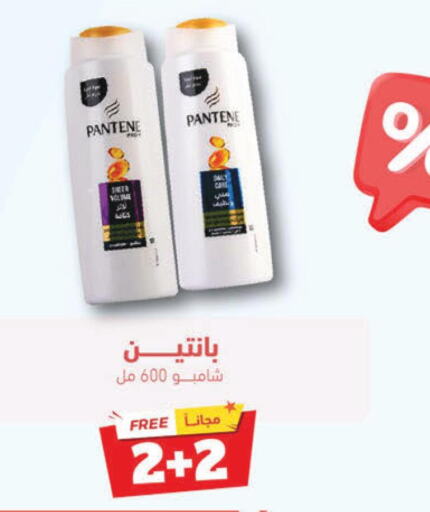 PANTENE Shampoo / Conditioner  in United Pharmacies in KSA, Saudi Arabia, Saudi - Al Qunfudhah