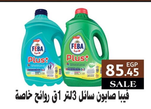  General Cleaner  in أسواق العثيم in Egypt - القاهرة