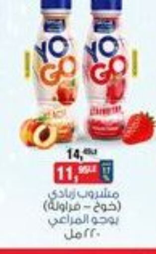ALMARAI Yoghurt  in بيم ماركت in Egypt - القاهرة