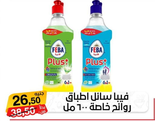  Detergent  in بيت الجملة in Egypt - القاهرة