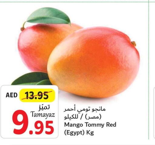  Mangoes  in Union Coop in UAE - Abu Dhabi