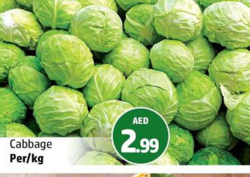  Cabbage  in Al Hooth in UAE - Ras al Khaimah
