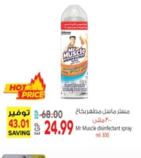 MR. MUSCLE Disinfectant  in El.Husseini supermarket  in Egypt - Cairo