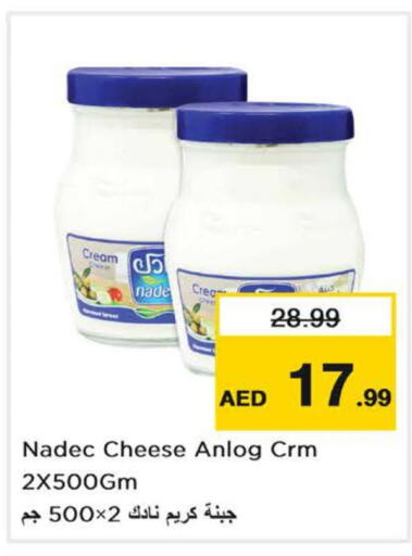 NADEC Cream Cheese  in Nesto Hypermarket in UAE - Sharjah / Ajman
