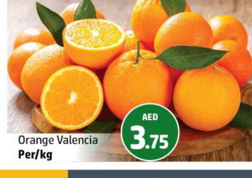  Orange  in Al Hooth in UAE - Ras al Khaimah