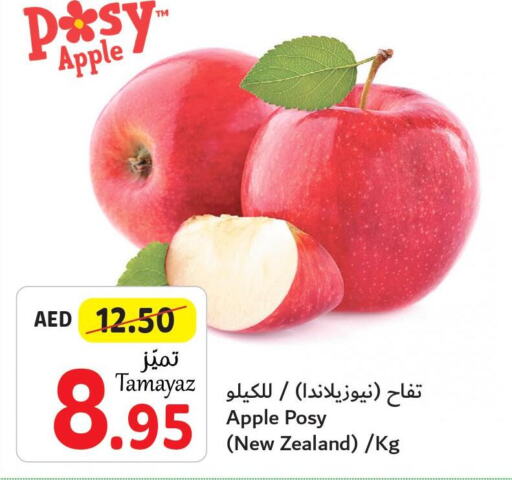  Apples  in Union Coop in UAE - Abu Dhabi