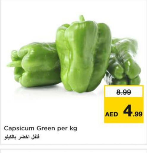  Chilli / Capsicum  in Nesto Hypermarket in UAE - Ras al Khaimah