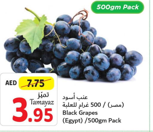  Grapes  in Union Coop in UAE - Abu Dhabi