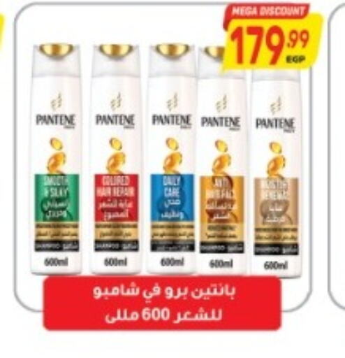 PANTENE Shampoo / Conditioner  in El.Husseini supermarket  in Egypt - Cairo