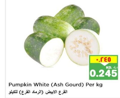  Gourd  in Nesto Hypermarkets in Kuwait - Ahmadi Governorate