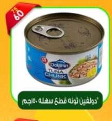  Tuna - Canned  in ماستر جملة ماركت in Egypt - القاهرة