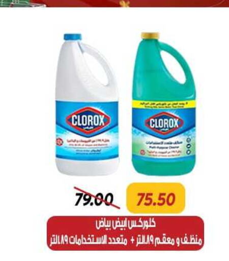 CLOROX Disinfectant  in سراى ماركت in Egypt - القاهرة