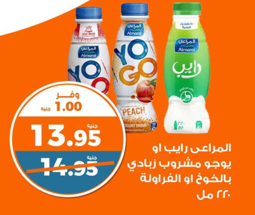 ALMARAI Yoghurt  in كازيون in Egypt - القاهرة