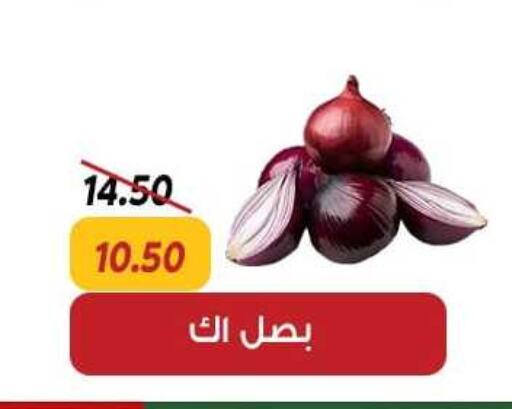  Onion  in Sarai Market  in Egypt - Cairo