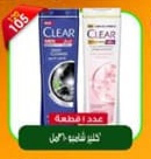 CLEAR Shampoo / Conditioner  in Master Gomla Market in Egypt - Cairo