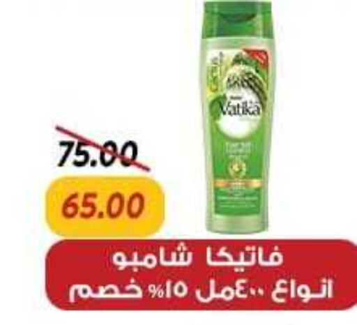 VATIKA Shampoo / Conditioner  in Sarai Market  in Egypt - Cairo